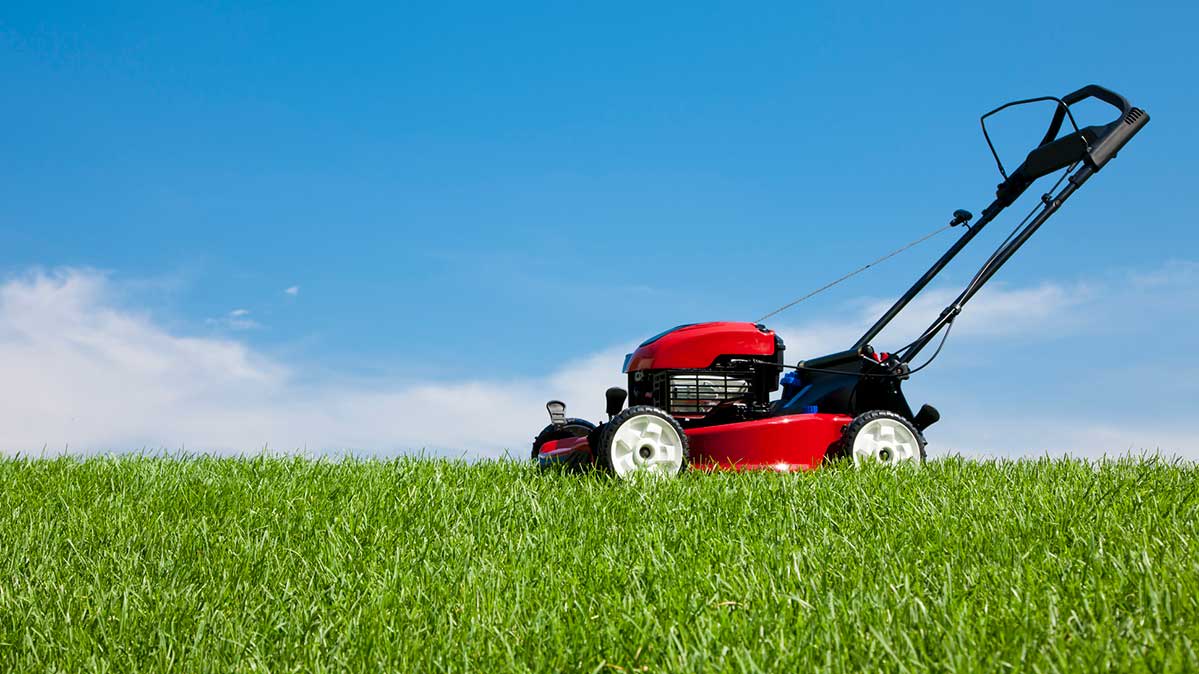Most & Least Reliable WalkBehind Lawn Mower Brands Consumer Reports